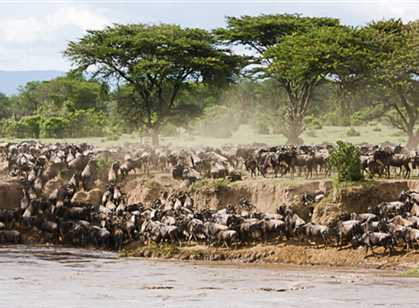 Serengeti National Park